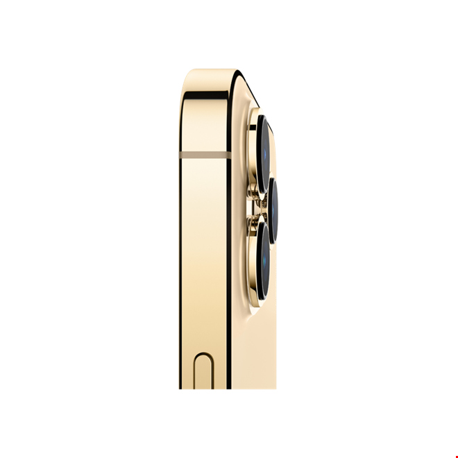 iPhone 13 Pro Max 1TB Altın
                    Cep Telefonu